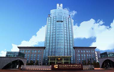 GUIDE高德智感
