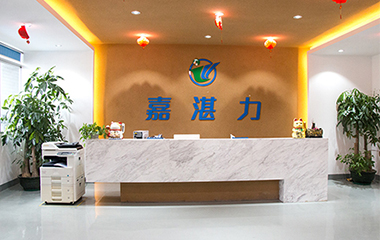 嘉湛力