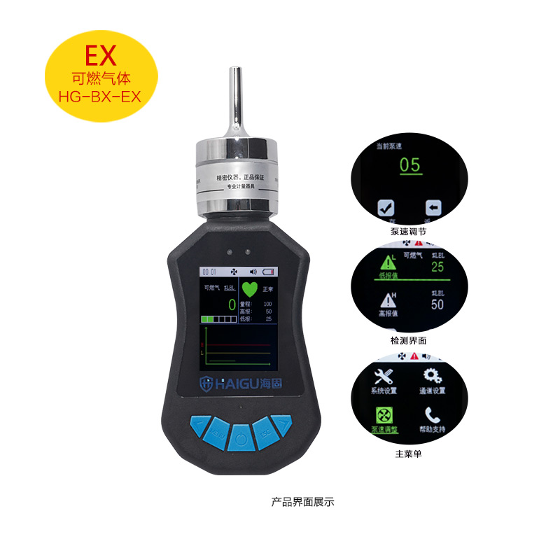 海固HG-BX-EX可燃?xì)怏w泵吸式氣體檢測(cè)儀圖片1