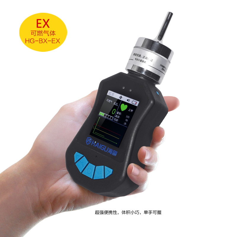 海固HG-BX-EX可燃?xì)怏w泵吸式氣體檢測(cè)儀圖片2