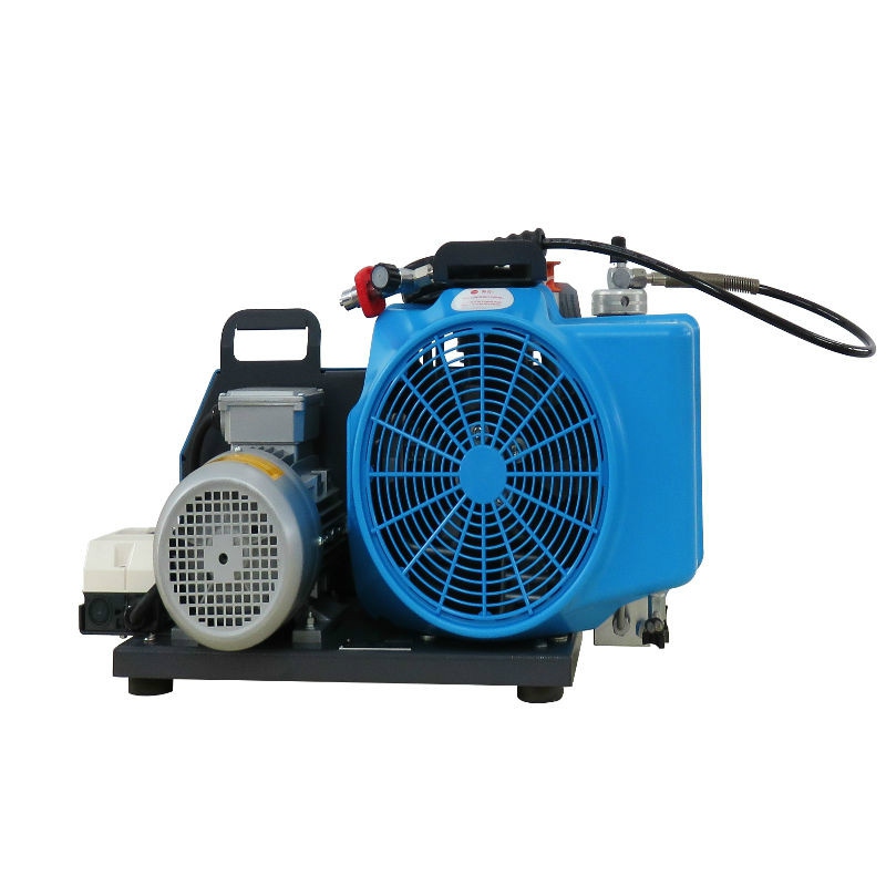 梅思安10181241空氣壓縮機MSA100TE三相電機充氣泵圖片1