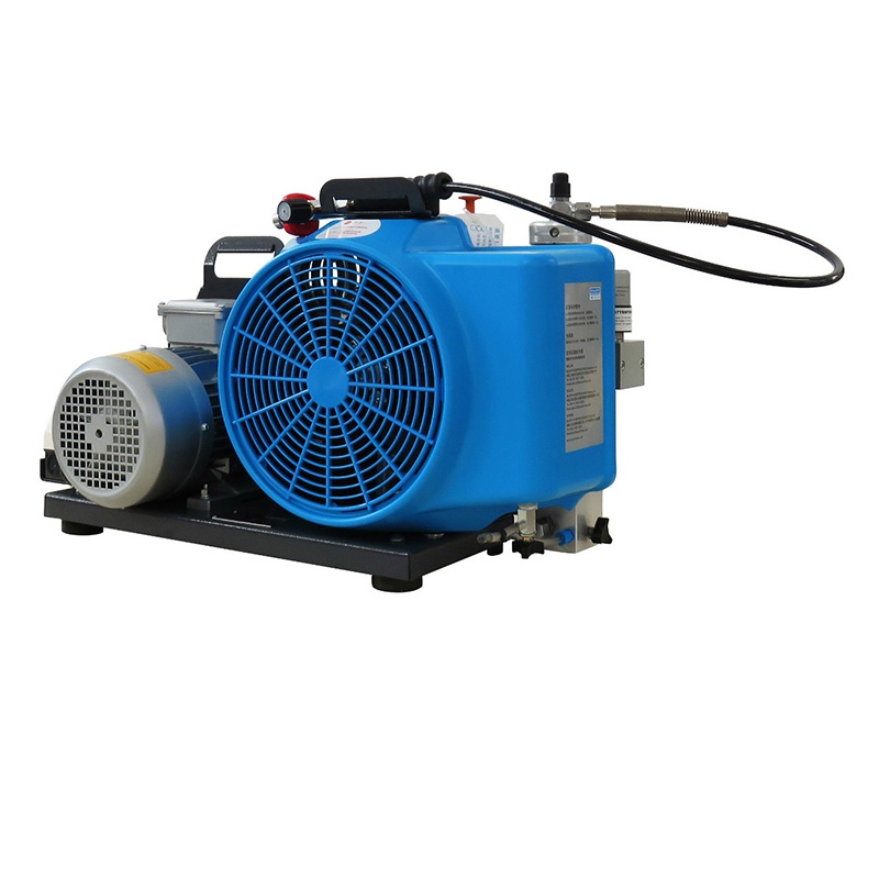 梅思安10181241空氣壓縮機MSA100TE三相電機充氣泵圖片2