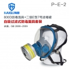 海固HG-800D HG-LV/P-E-2酸性氣體專(zhuān)用防毒面具