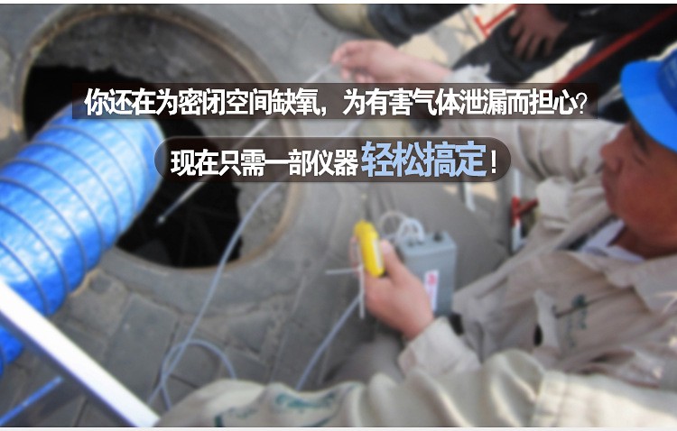 BW GAXT-N-DL便攜式單一一氧化氮?dú)怏w檢測儀圖片1