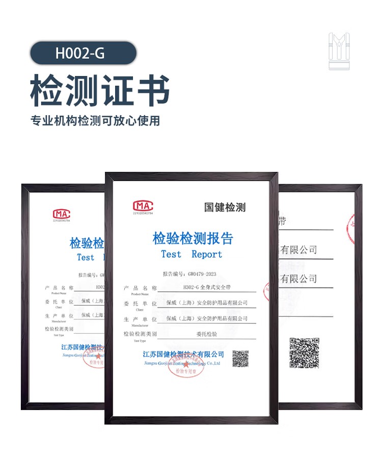PIP H002-G經(jīng)濟(jì)款雙掛點全身式安全帶9